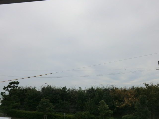 12/29 その他画像