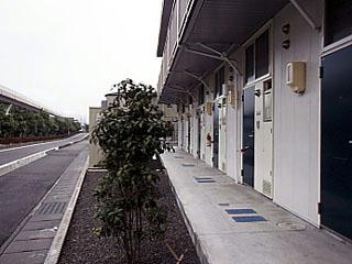 11/11 その他画像