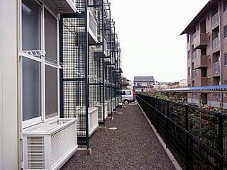 10/11 その他画像