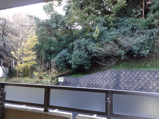 15/26 その他画像