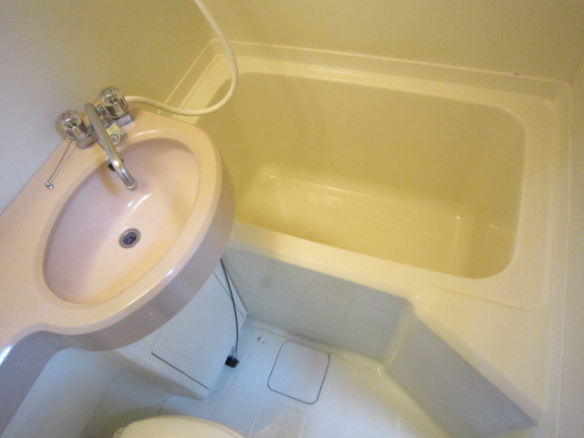 19/24 その他画像