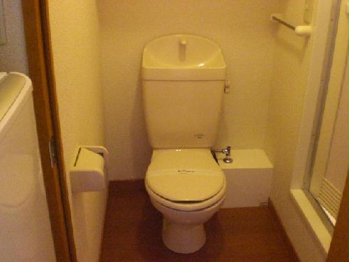 12/14 その他画像