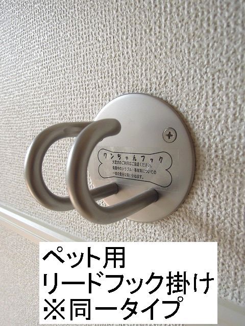 13/22 その他画像