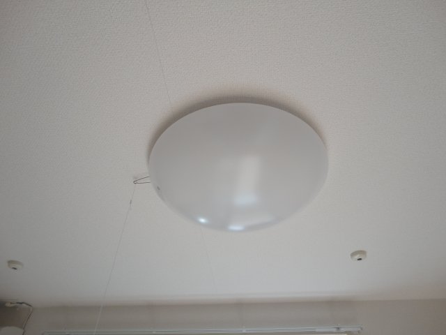 19/22 その他画像