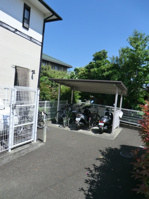 20/30 その他画像