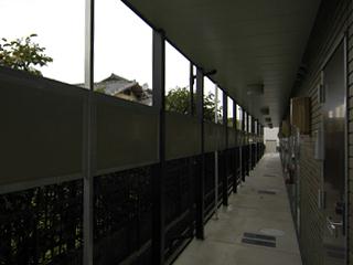 11/11 その他画像