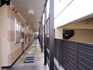 11/11 その他画像