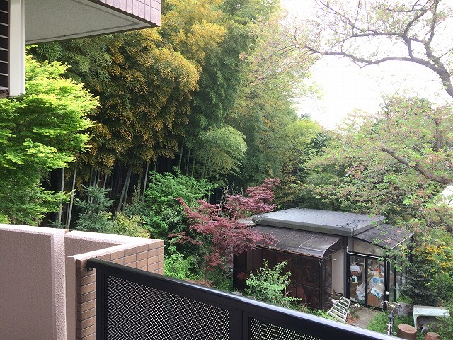 16/30 その他画像