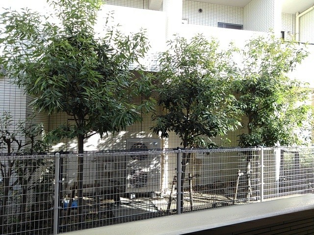 18/28 その他画像