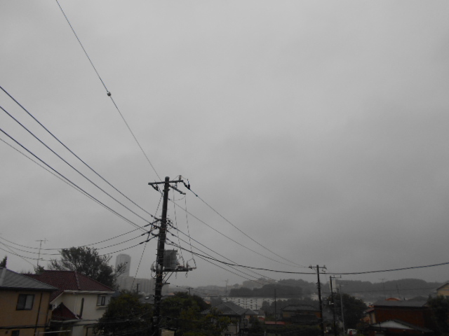 12/28 その他画像