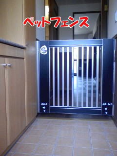 4/10 玄関