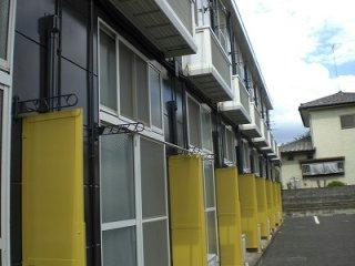 11/14 その他画像