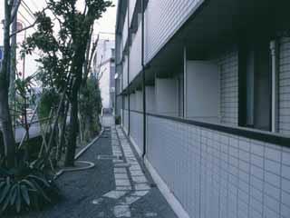 11/14 バルコニー