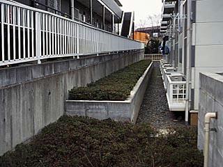 11/14 その他画像