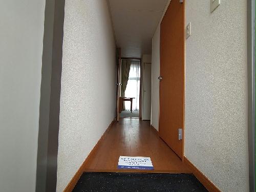 8/17 その他画像