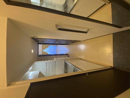 14/19 その他画像