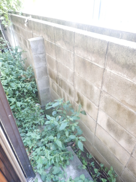 14/25 バルコニー