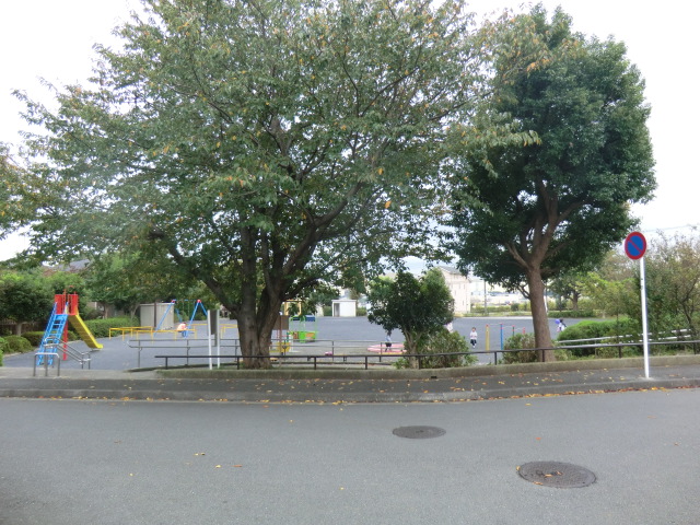 20/28 その他画像