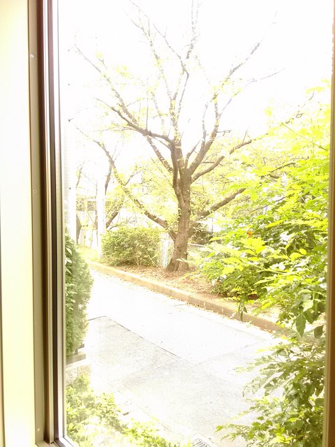 14/19 その他画像