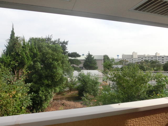 20/30 その他画像