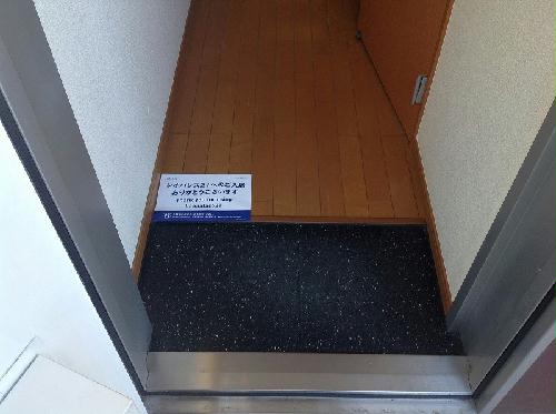 13/16 その他画像