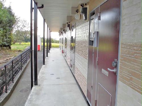 12/16 その他画像