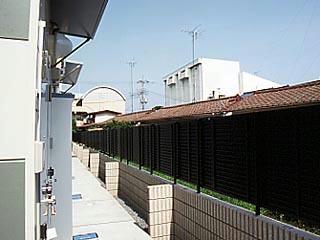 11/19 その他画像