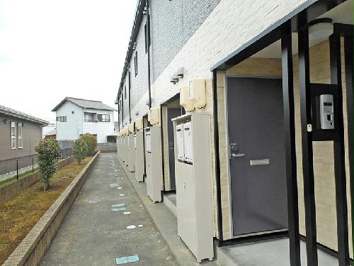 11/11 その他画像