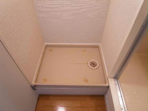 13/14 その他画像