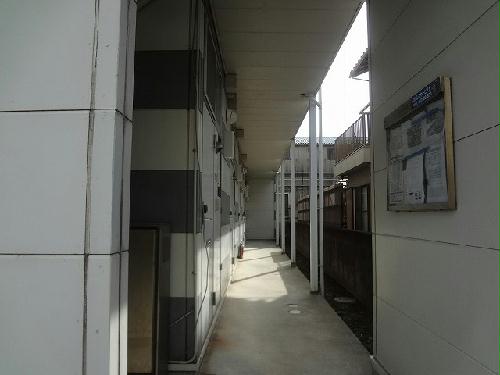 11/14 その他画像