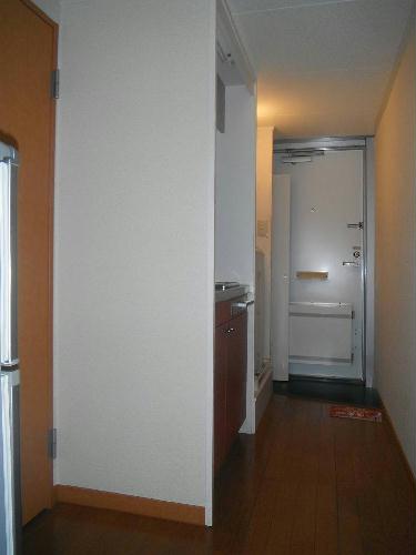 8/20 その他画像