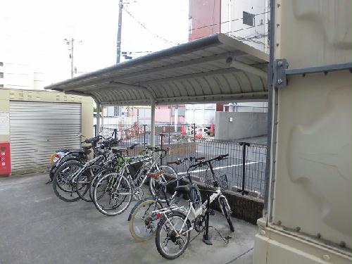 11/14 その他画像