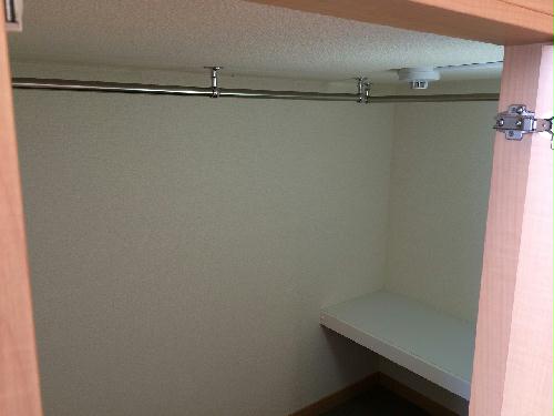 11/14 その他画像