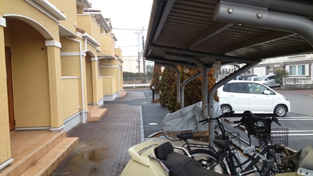 11/20 その他画像