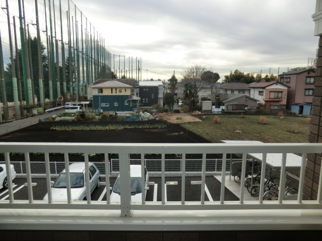 20/30 その他画像