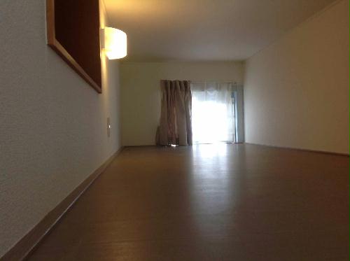 7/13 その他画像