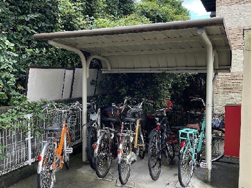 8/13 その他画像