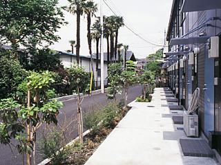 11/19 その他画像