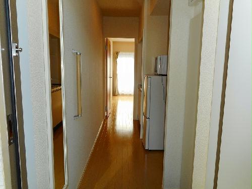 8/15 その他画像