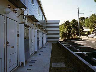 11/15 その他画像