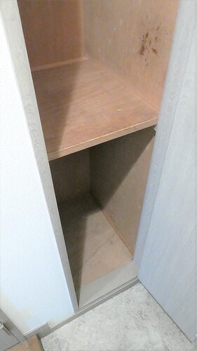 11/11 その他画像