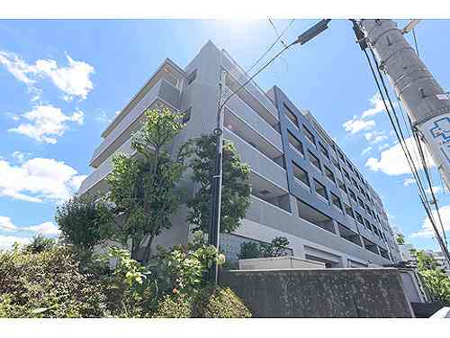 6/11 その他画像