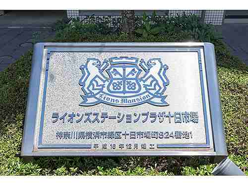 8/11 その他画像