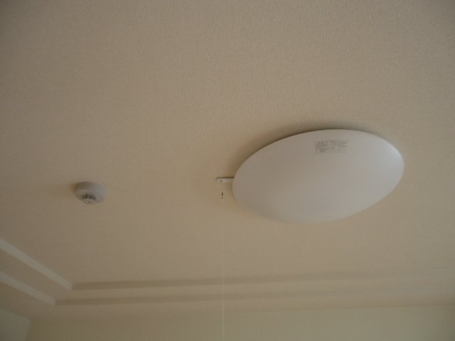 7/22 その他画像