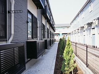 11/21 その他画像