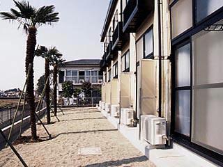 13/17 その他画像