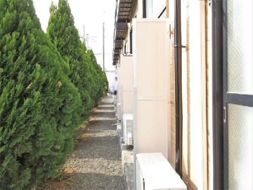 11/21 その他画像