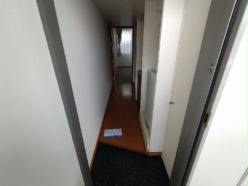 8/20 その他画像