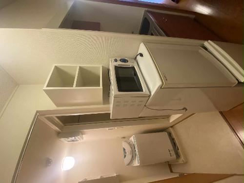 11/14 その他画像