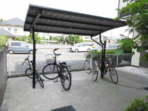 12/16 その他画像